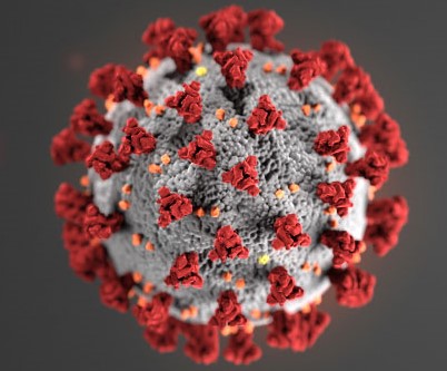 coronavirus